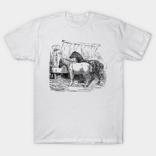 Vintage Horses Design T-Shirt